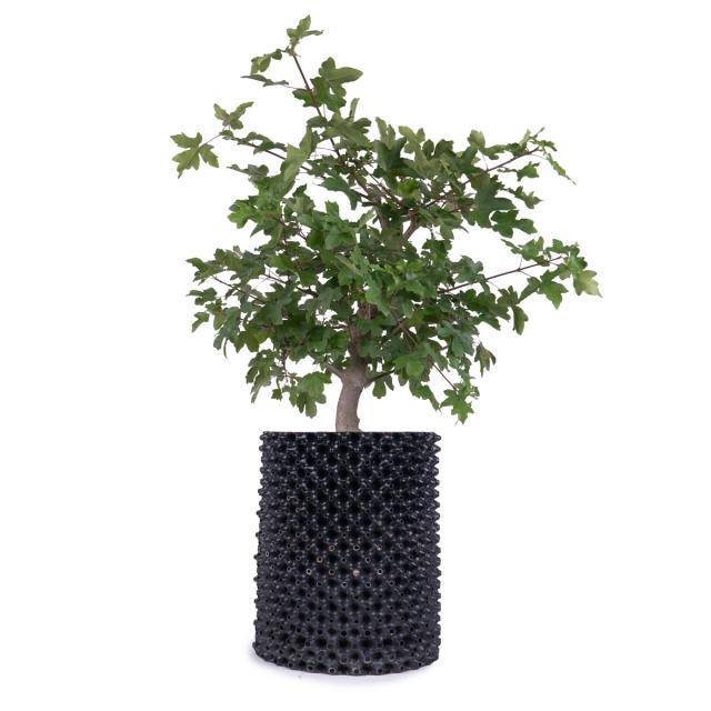 product_1