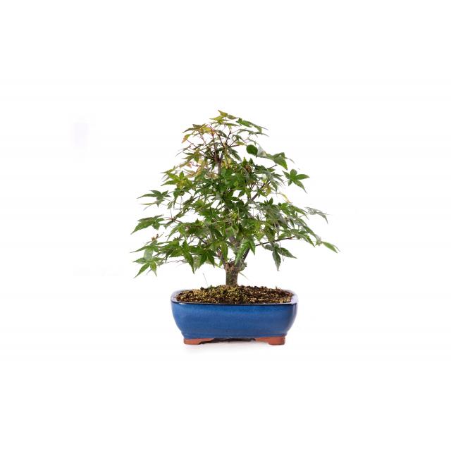 product_1