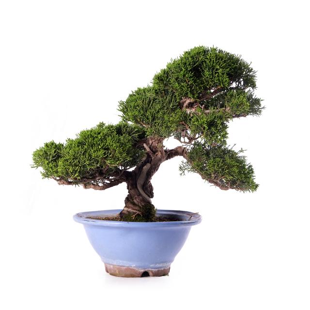 product_1