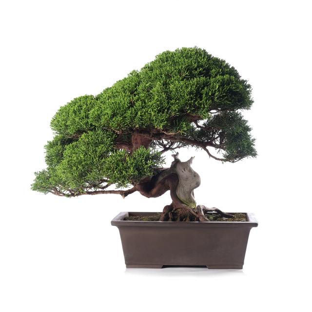 product_1