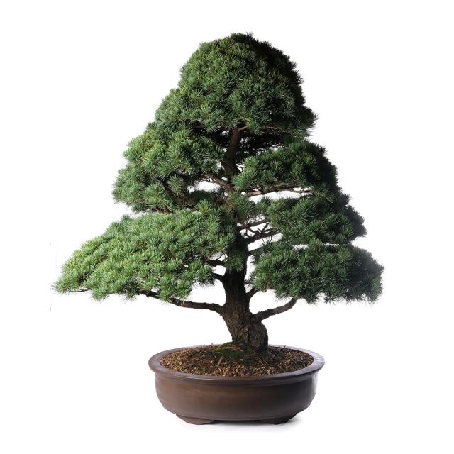 product_1