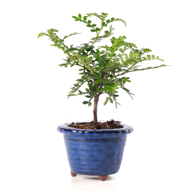 product_1