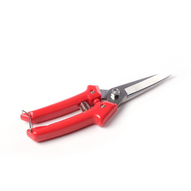 product_1