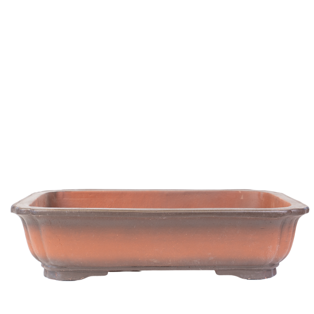 product_1